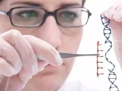 最新试验，探索未知领域的突破之旅