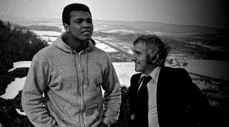 蜂刺最新,小巷中的美食秘密