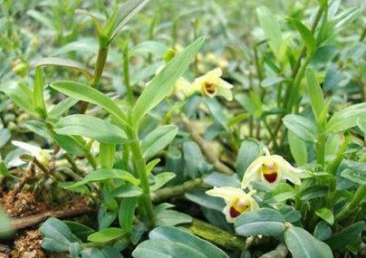 环境监测设备 第345页