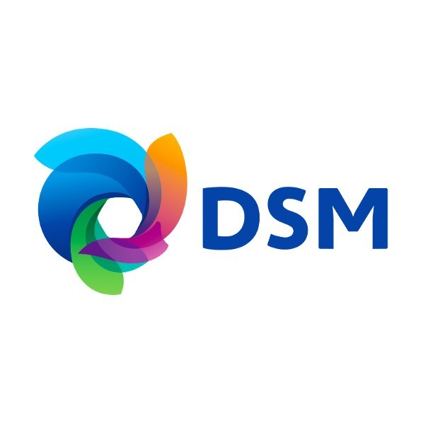 DSM最新发现，小巷中的隐藏瑰宝揭秘