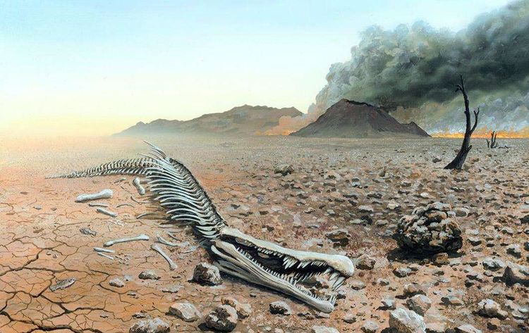 最新灭绝，小巷深处的独特风味探寻之旅