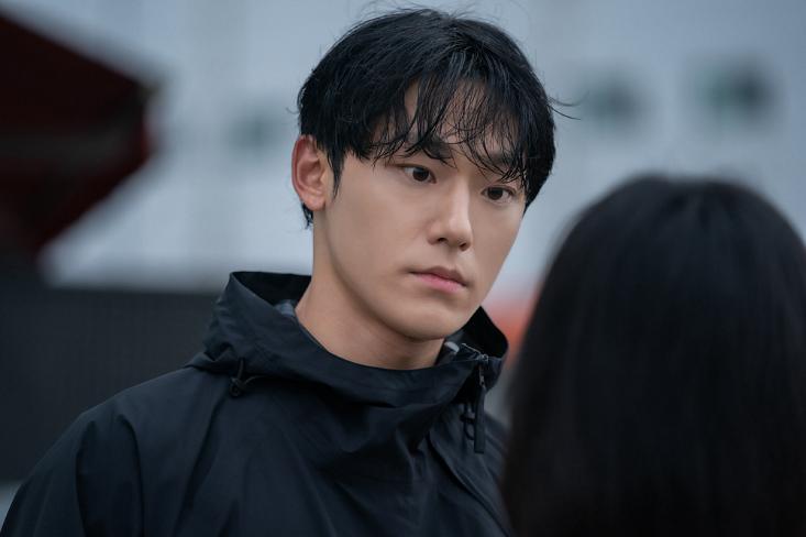 网飞最新动态，温馨故事会传递爱与陪伴的力量