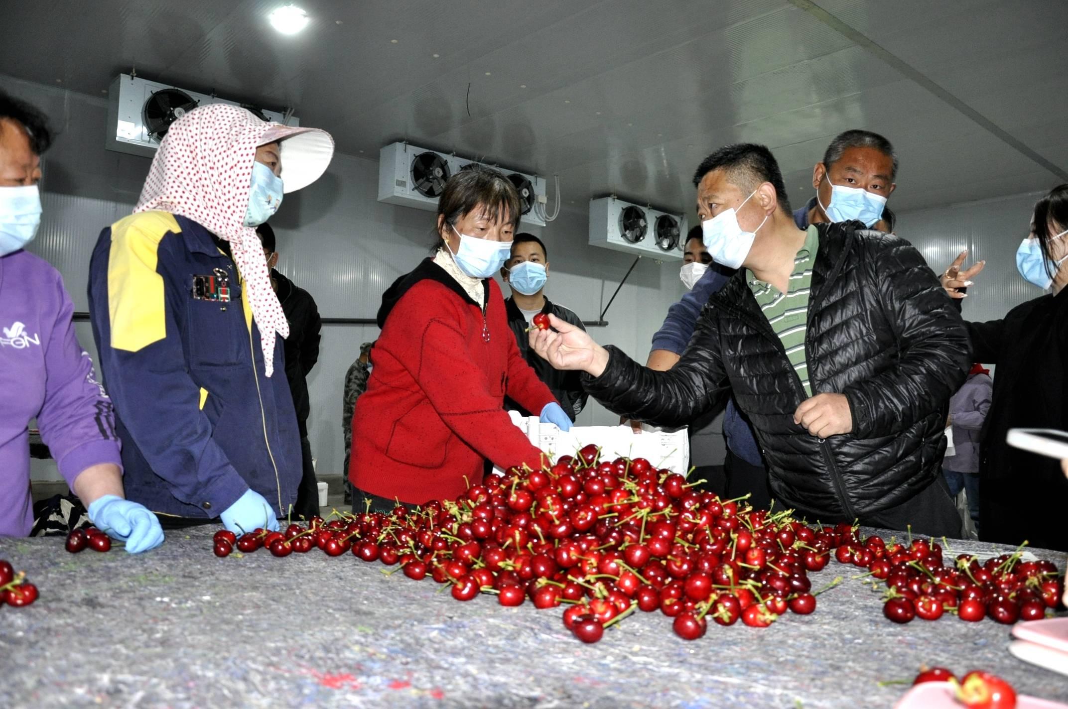 疫情影响最新政策,疫情影响最新政策下的自然美景之旅，寻找内心的宁静与平和