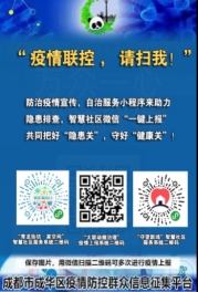 智力疫情最新动态，智慧与爱交织的日常冒险