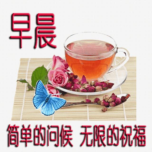 最新文明人的日常趣事概览