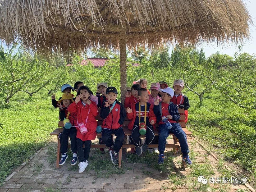 桃隐最新版入口，轻松探索自然美景的旅程