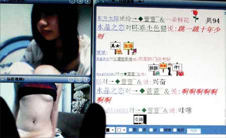 最新8x黄网，背景、发展、影响与地位探究