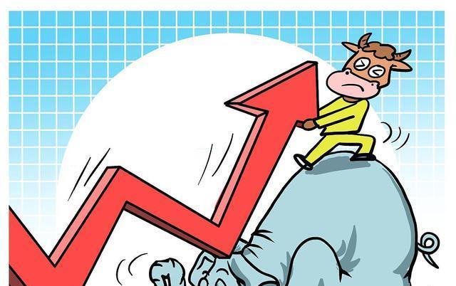 股票利好最新消息，心灵与自然的美妙交融之旅