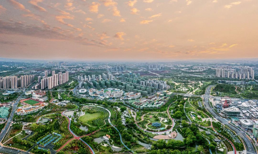 皋埠最新动态，阳光下的温馨日常