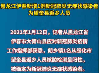 黑龙江最新疫情背景、进展及影响概述