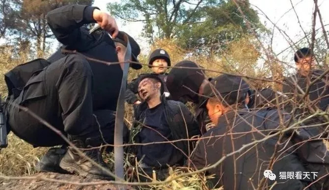 陈建湘最新探索之旅，自然美景的心灵之旅，寻找内心平和之地