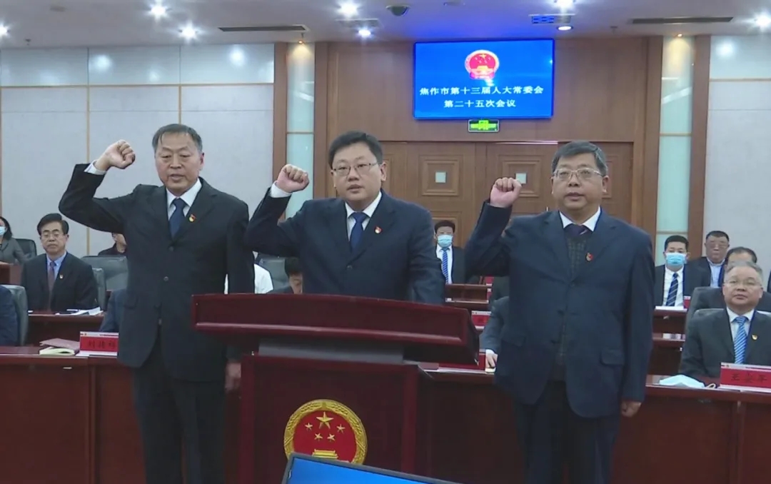 焦作最新人事任免，观点阐述与深度分析