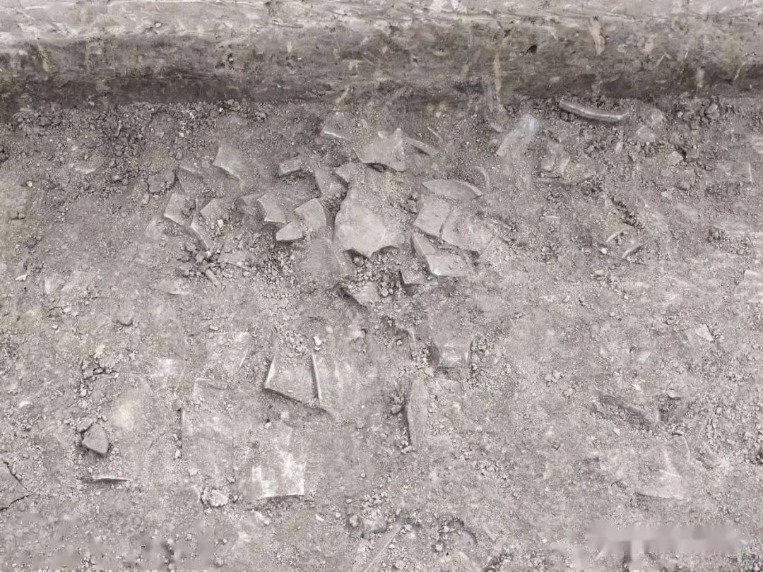 文安县志新版发布，全面展现文安县发展脉络与成就