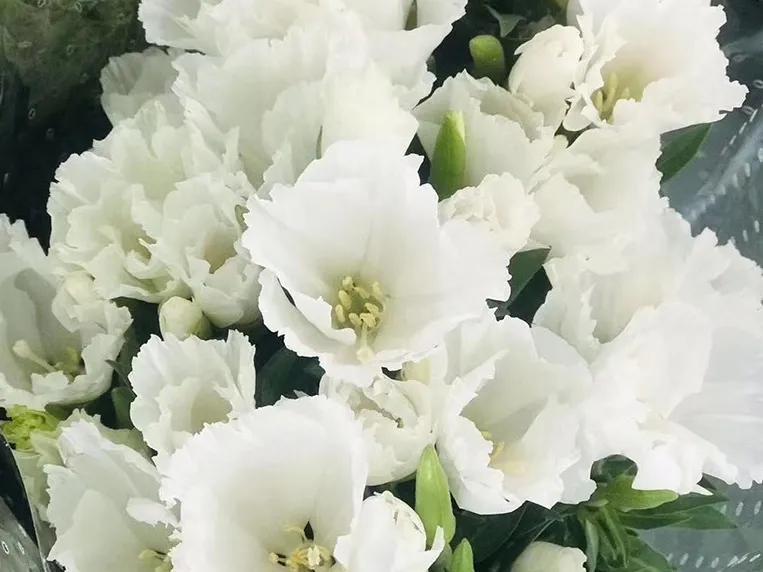 女子穿越古代电视剧的高科技之旅，时光穿梭电视盒介绍