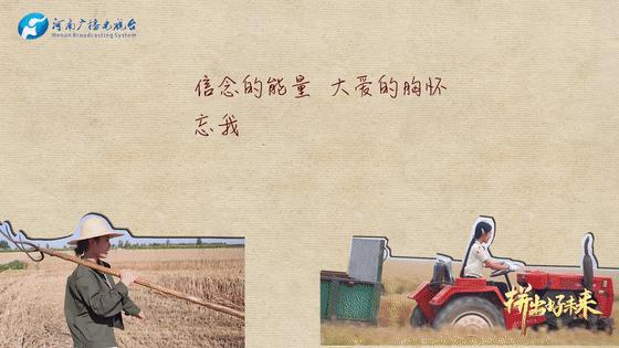 锋最新动态揭秘,温馨有趣的日常故事开启新篇章!