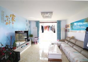 鲁山二手房最新资讯，市场走势分析与个人观点总结