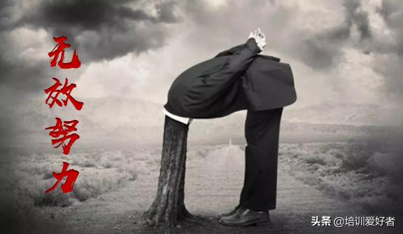 新视角展现职场态度，小巷中的独特风采