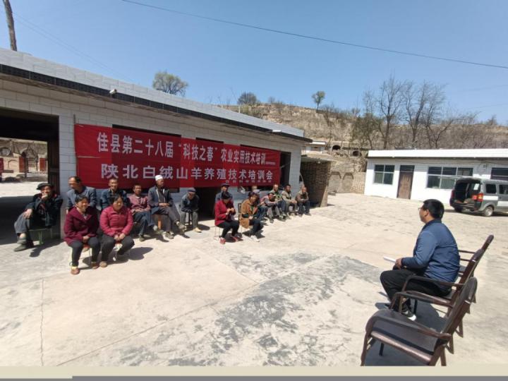 最新羊场兽医职位招聘启事，寻找专业兽医人才加入我们的团队