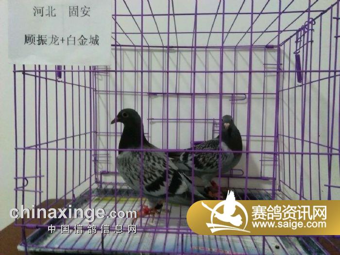 环境监测设备 第314页