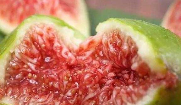 跟随自然美景的旅行，无花果的上市时间，找回内心的平静时刻