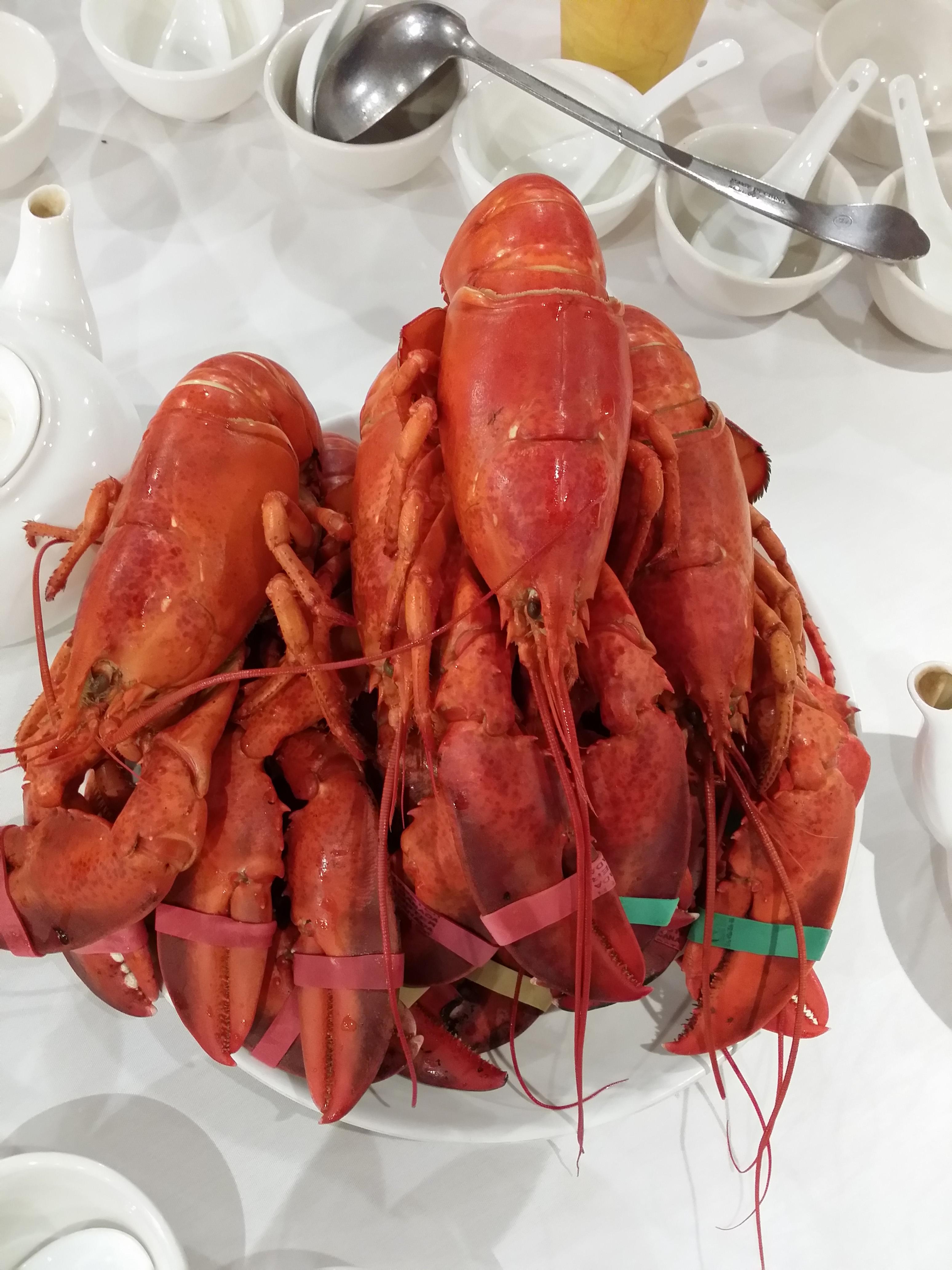 龙虾，温情陪伴与价格走势分析