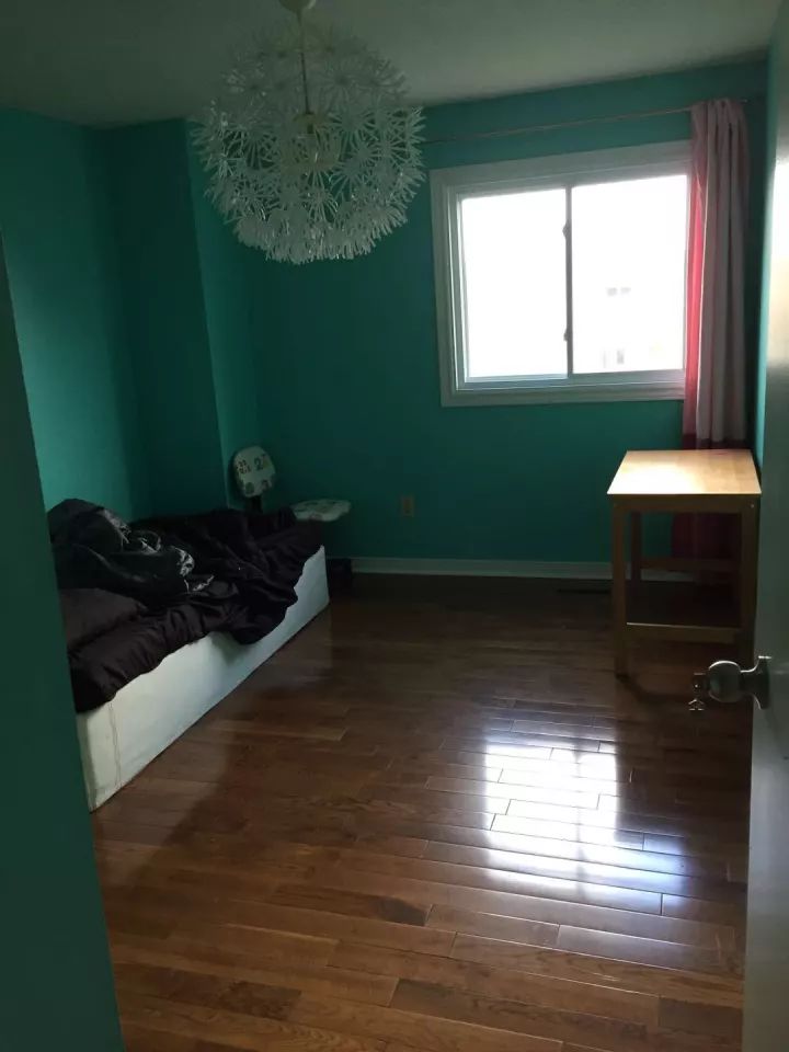 磁县租房最新信息,科技重塑居住体验新篇章