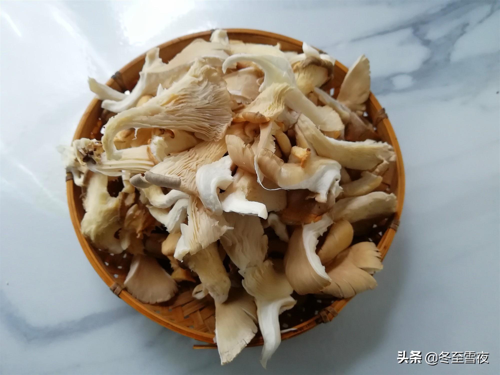 平菇价格最新行情,平菇价格最新行情分析