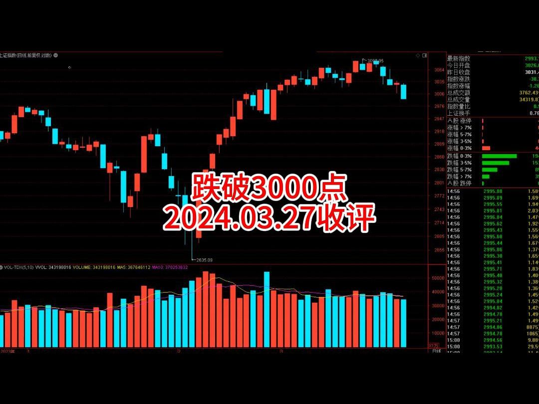 300205股票行情，金融之旅的跃升与自我超越之路