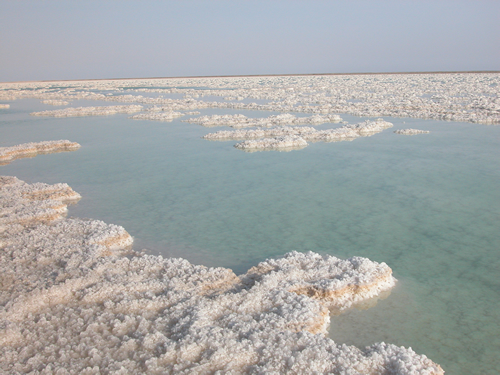 钾盐最新市场动态与行情分析
