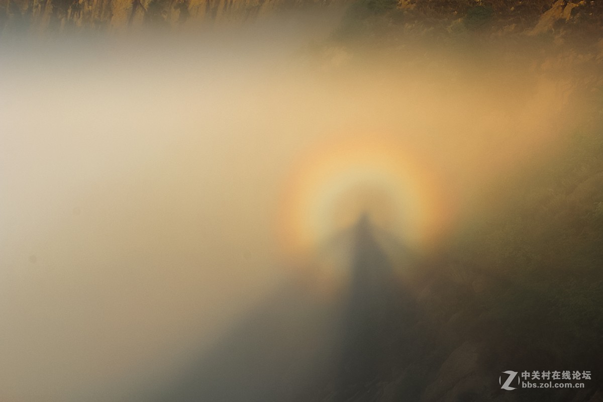 佛光新篇，小巷深处的独特风情