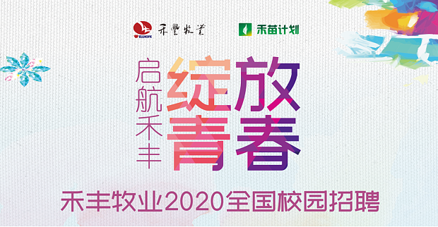 东北招聘信息概览，时代背景下的职业探索之旅