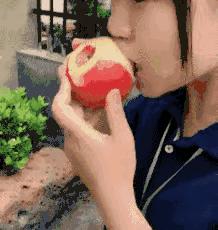 成语猜苹果版答案大全最新版揭秘,小红书上的智慧分享