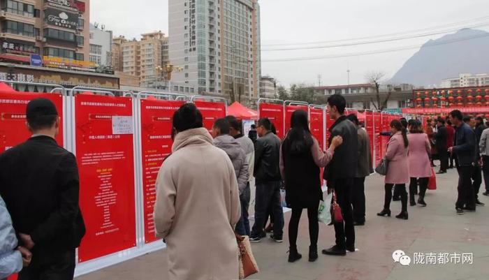 陇南招聘信息概览，探寻职业机会与发展前景，把握当地就业市场动态