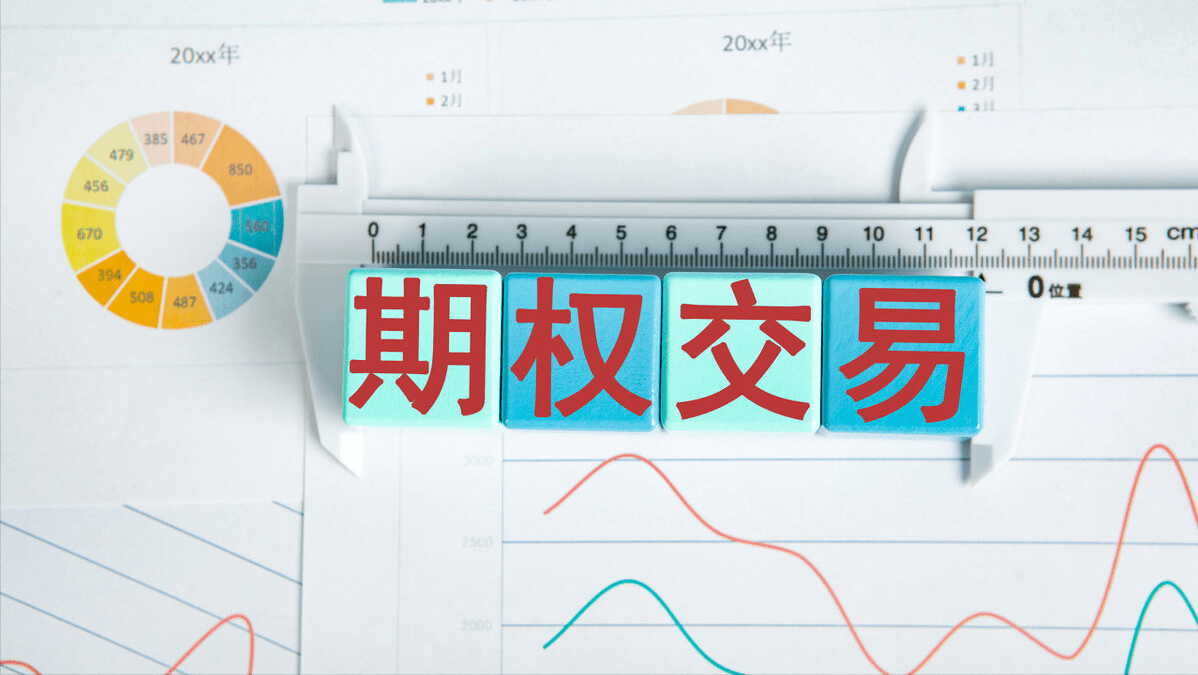 股票期权交易指南,如何操作股票期权交易