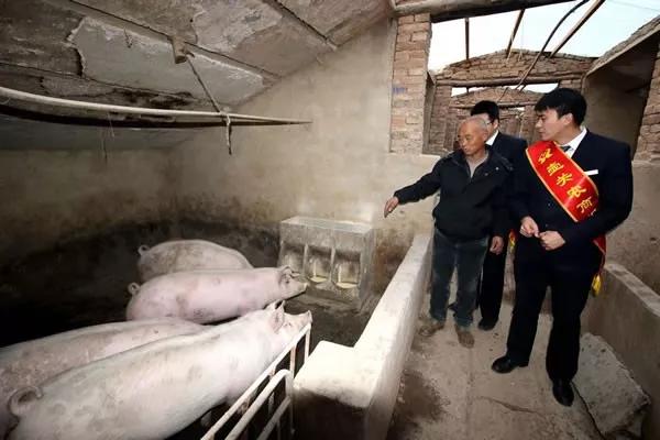 黄山B股股票行情,科技与生活的无缝对接。