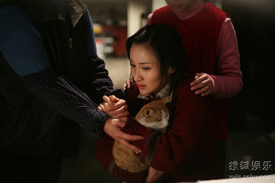 王若心演艺生涯，多部电视剧作品回顾