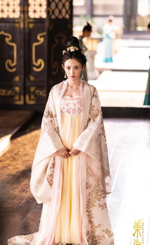 暗香电视剧，家的温馨与友情深度探索