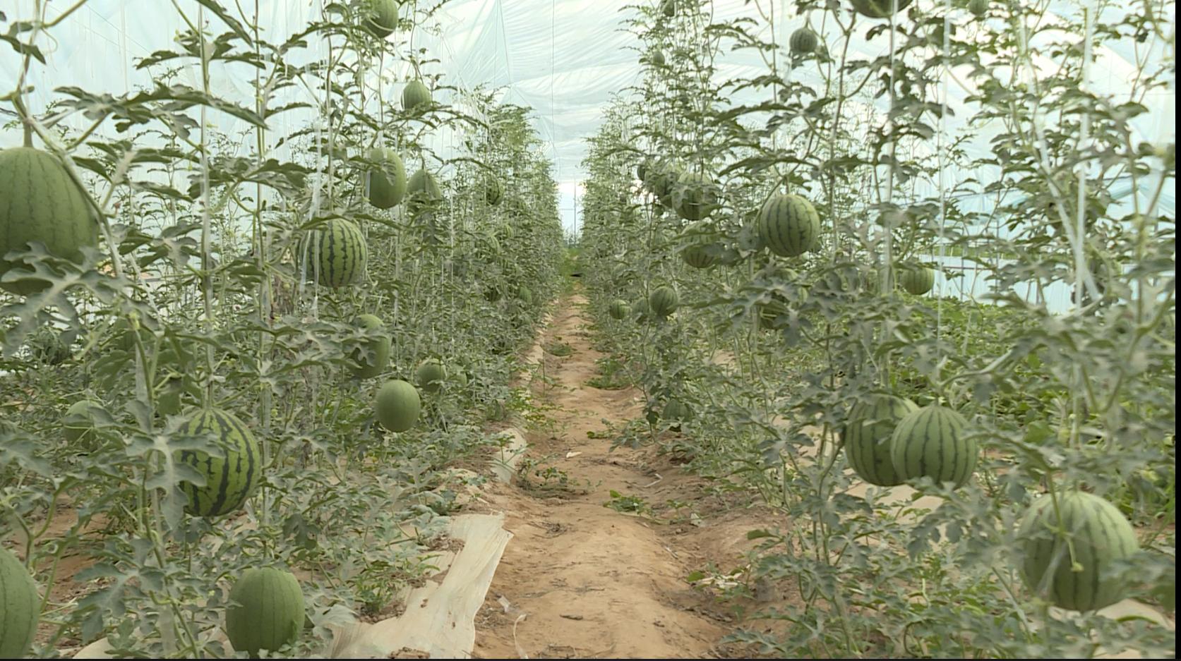 方程式赛车2最新版破解探讨与解析