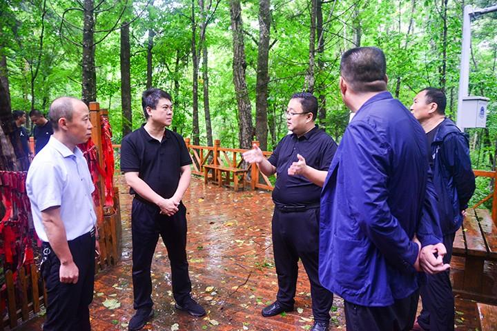 吉林森工最新动态，奋进中的绿色先锋，展现发展新面貌