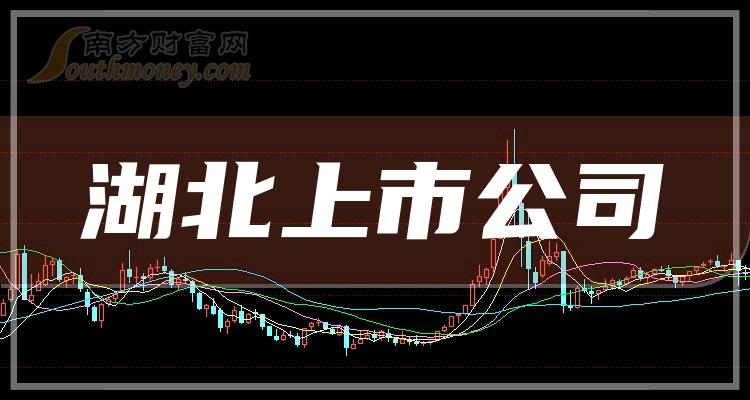 湖北和韵股票最新动态，走向资本市场的卓越发展之路