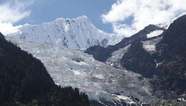 巷弄深处的神秘小店，揭秘2017年奇异事件回顾