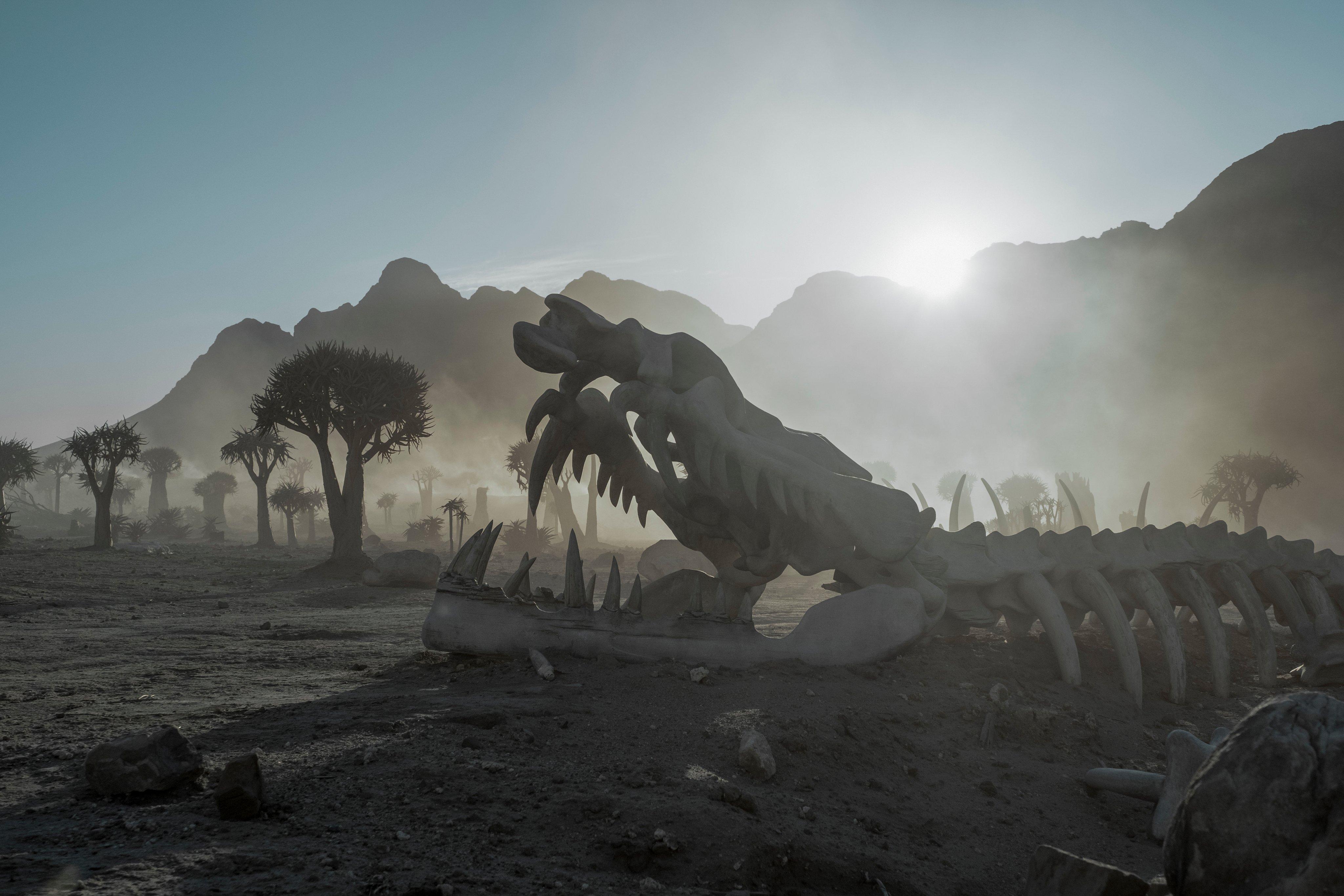 何以为家演员，自然美景的探索之旅