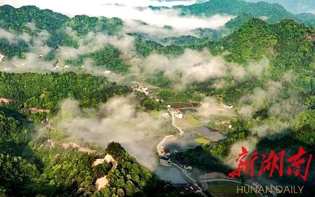 桃源县老祖岩最新动态揭秘，最新进展与资讯更新