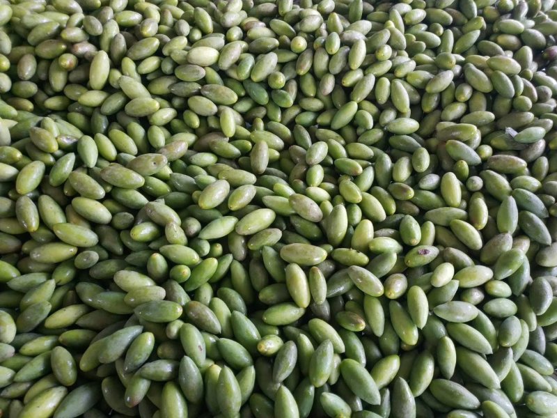 青果最新价格动态，市场走势、正反观点与个人立场分析