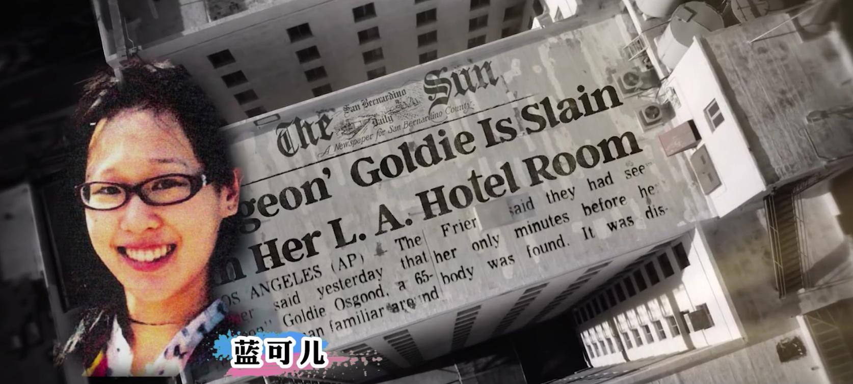 蓝可儿资讯，揭秘闪耀星辰背后的轨迹