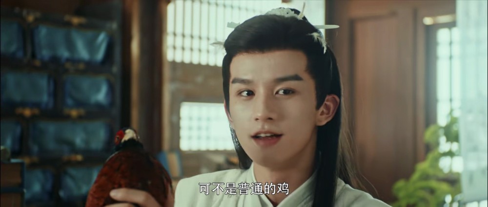 演员高凯，与自然美景的邂逅，探寻内心宁静之道