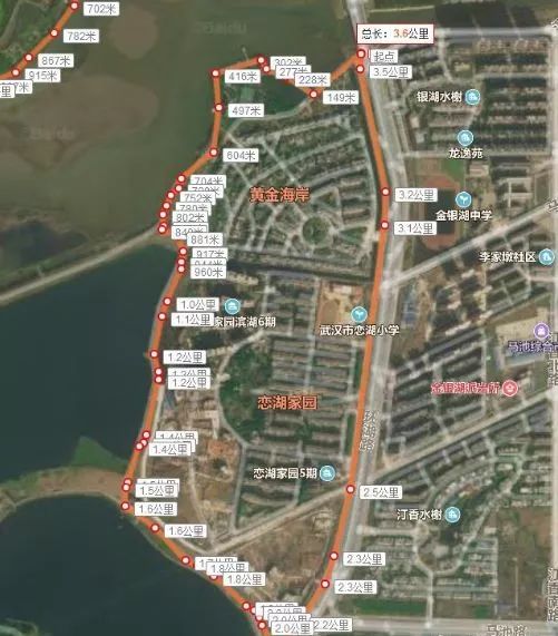 武汉东西湖区域最新规划揭秘,未来发展蓝图一瞥