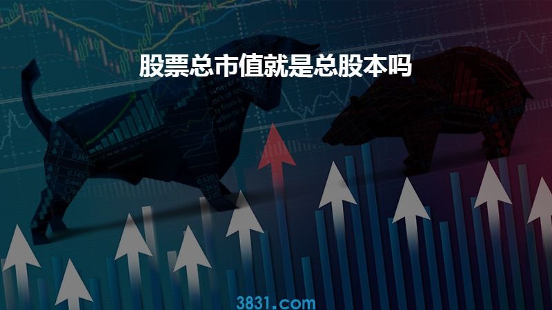 股票与股本，金融巨轮在历史长河中的演变与影响