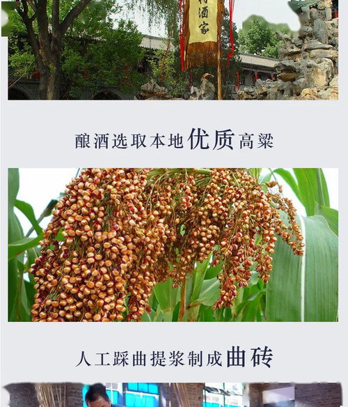 深度解析，汾酒30年小兰花价格及市场行情概览