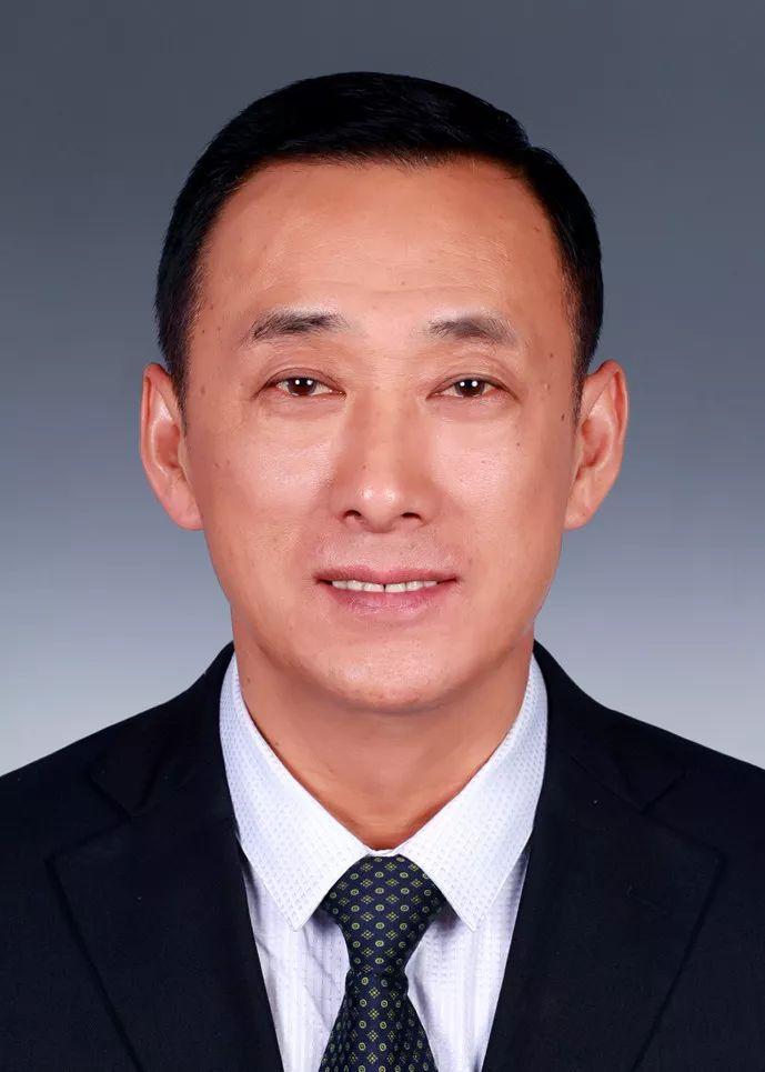 沈阳最新公示详解，查询与解读步骤指南（适用于初学者与进阶用户）